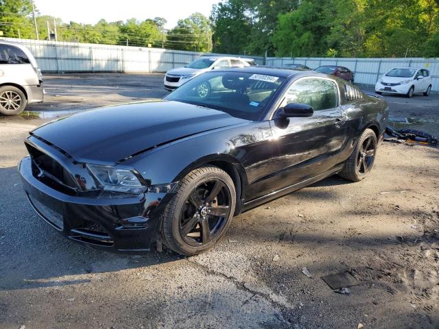 2014 FORD MUSTANG  2014 image