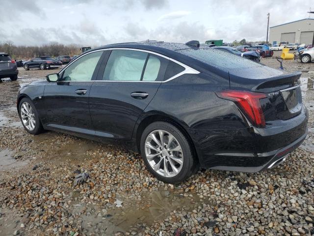 Изображение 2 2023 CADILLAC CT5 PREMIUM LUXURY 2023 с VIN 1G6DN5RW3P0109296