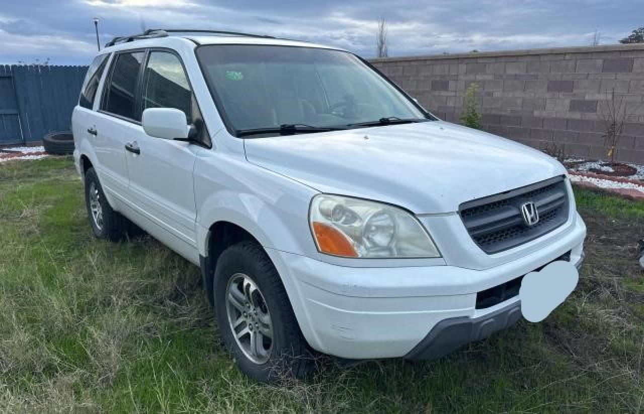2005 HONDA PILOT EXL 2005 image