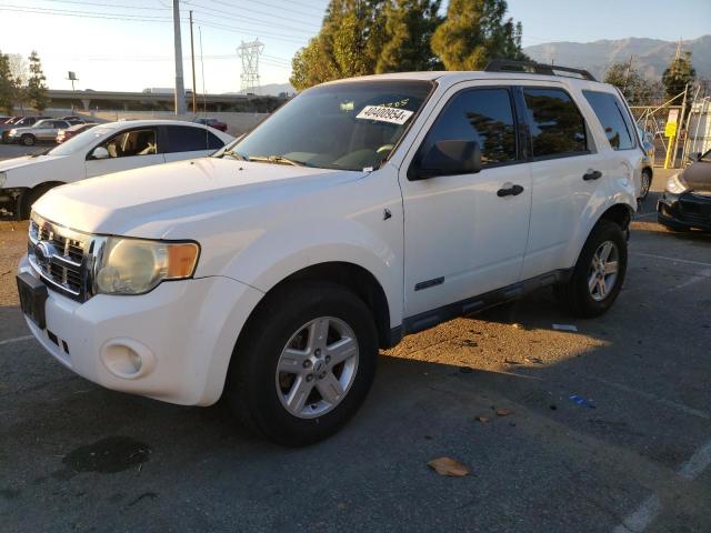 Obraz 2008 FORD ESCAPE HEV 2008
