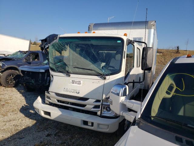2024 ISUZU NPR HD  2024 image