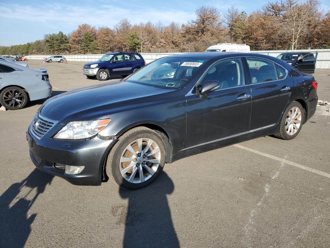 2010 LEXUS LS 460 2010 image