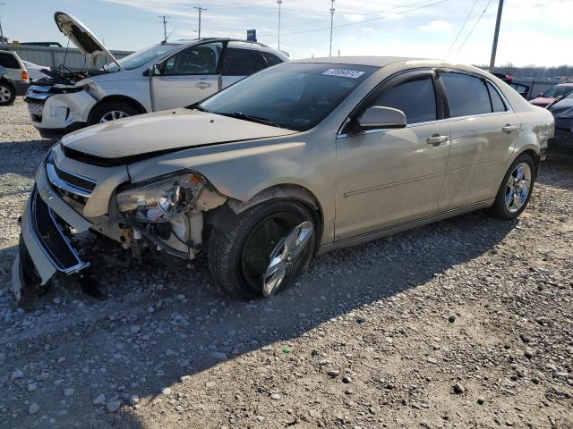 2009 CHEVROLET MALIBU 1LT 2009 image