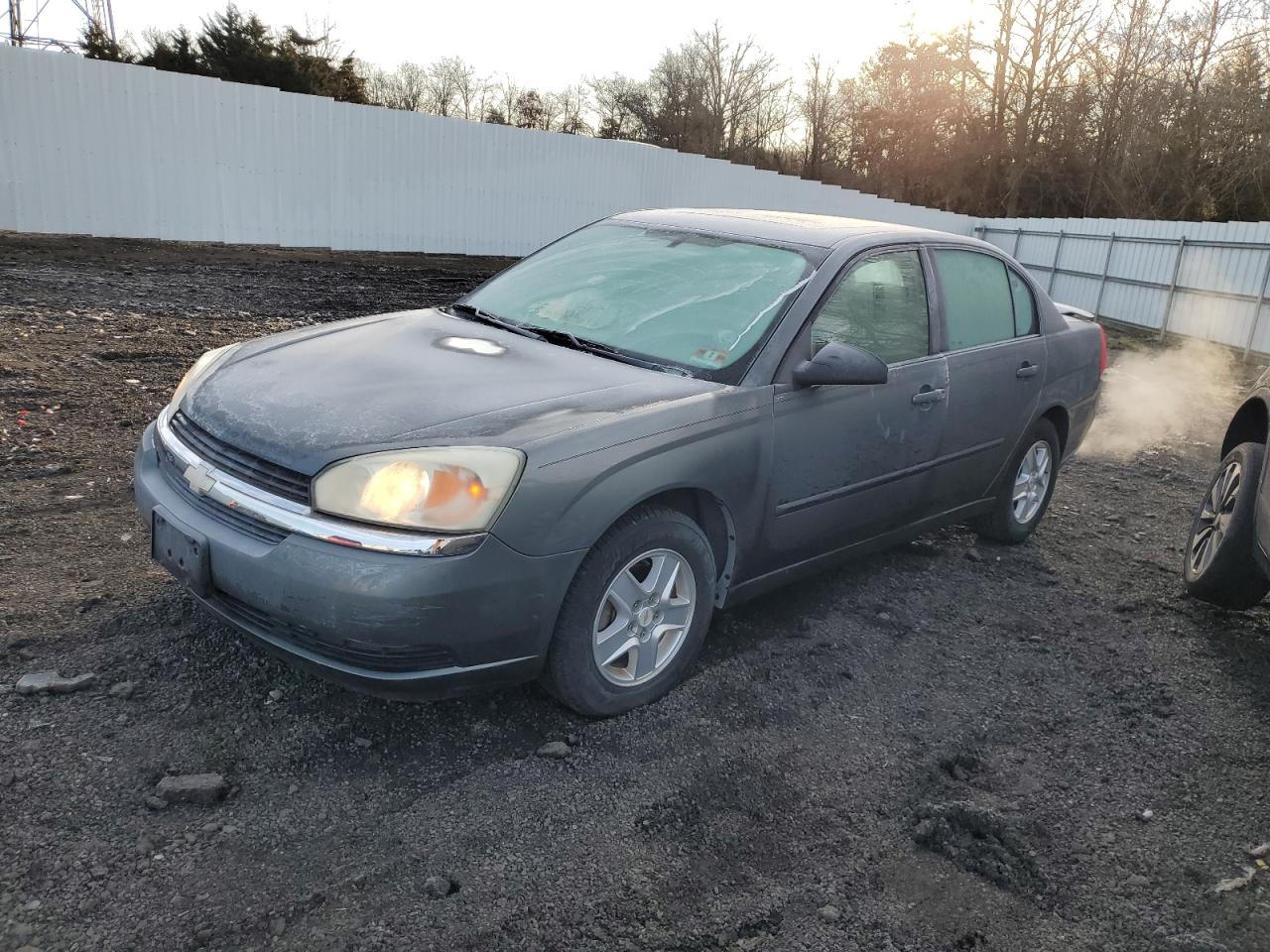 Изображение 1 2004 CHEVROLET MALIBU LS 2004 с VIN 1G1ZT54884F230568