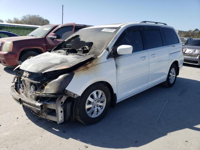 2008 HONDA ODYSSEY EXL 2008 image