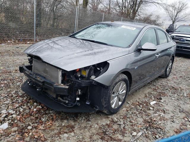 2019 HYUNDAI SONATA HYBRID 2019 image