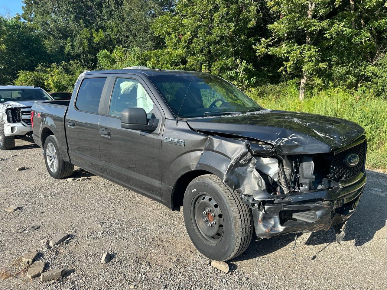 Image 1 of 2018 FORD F150 SUPERCREW 2018 with VIN 1FTEW1CP2JKE66845