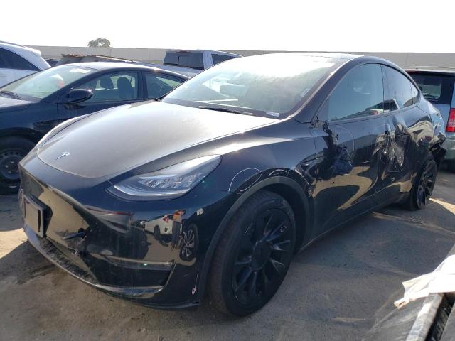 2022 TESLA MODEL Y  2022 image