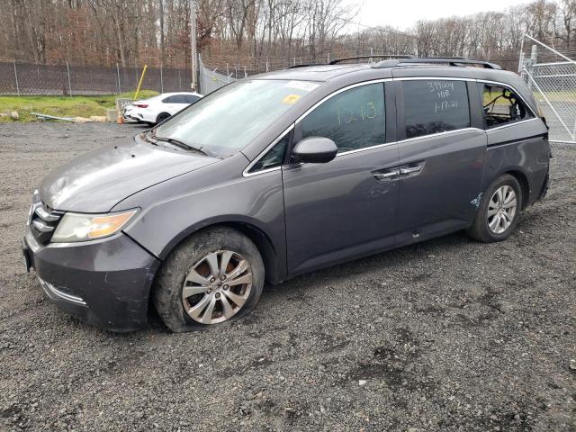 2014 HONDA ODYSSEY EXL 2014 image