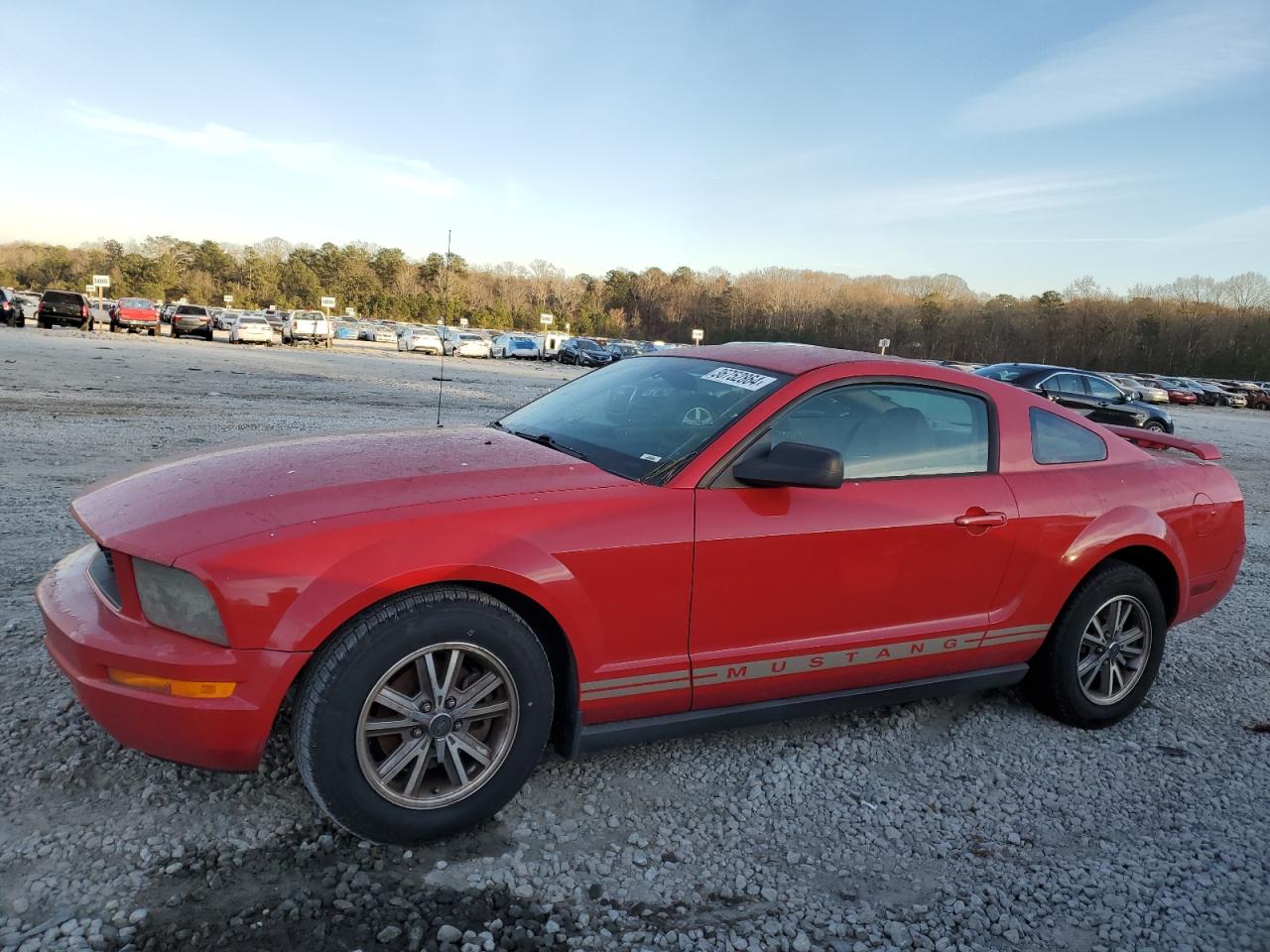 2005 FORD MUSTANG  2005 image