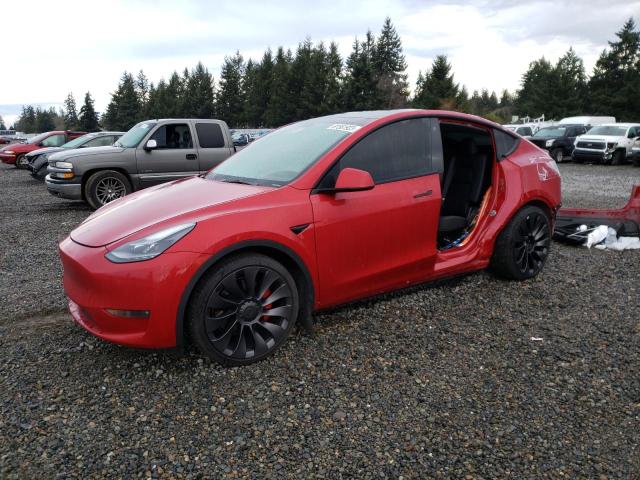 2021 TESLA MODEL Y  2021 image