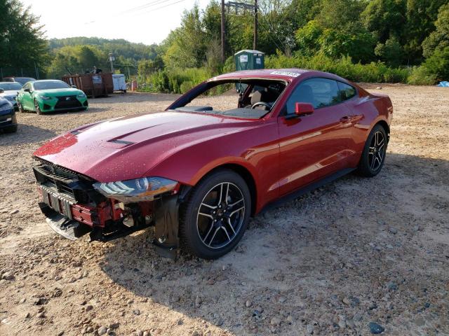 2023 FORD MUSTANG  2023 image