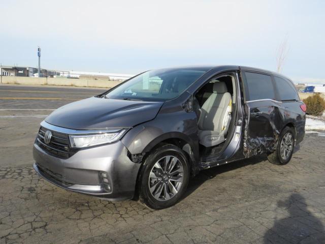 Image 2 of 2024 HONDA ODYSSEY EXL 2024 with VIN 5FNRL6H61RB007922