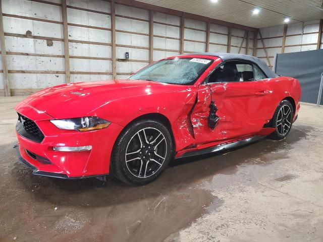 2022 FORD MUSTANG  2022 image