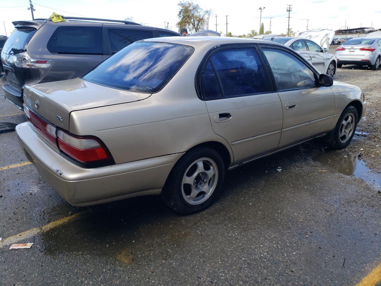 Obraz 3 z 1996 TOYOTA COROLLA DX 1996 z VIN 1NXBB02E0TZ495451