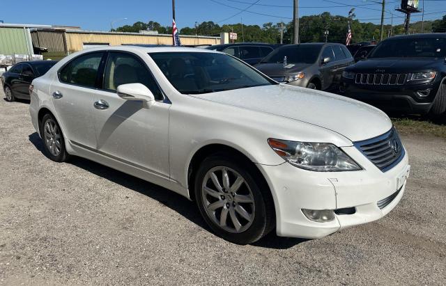 Obraz 2010 LEXUS LS 460 2010