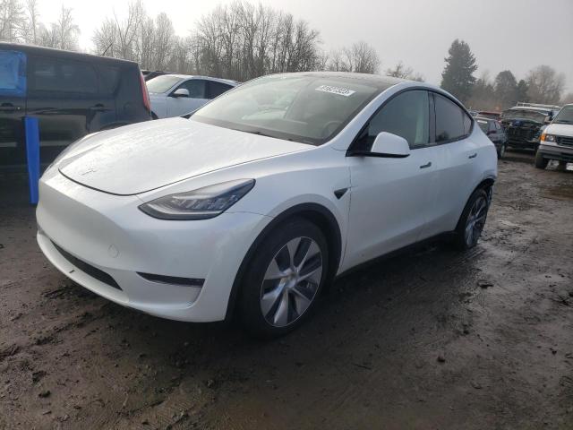 2021 TESLA MODEL Y  2021 image
