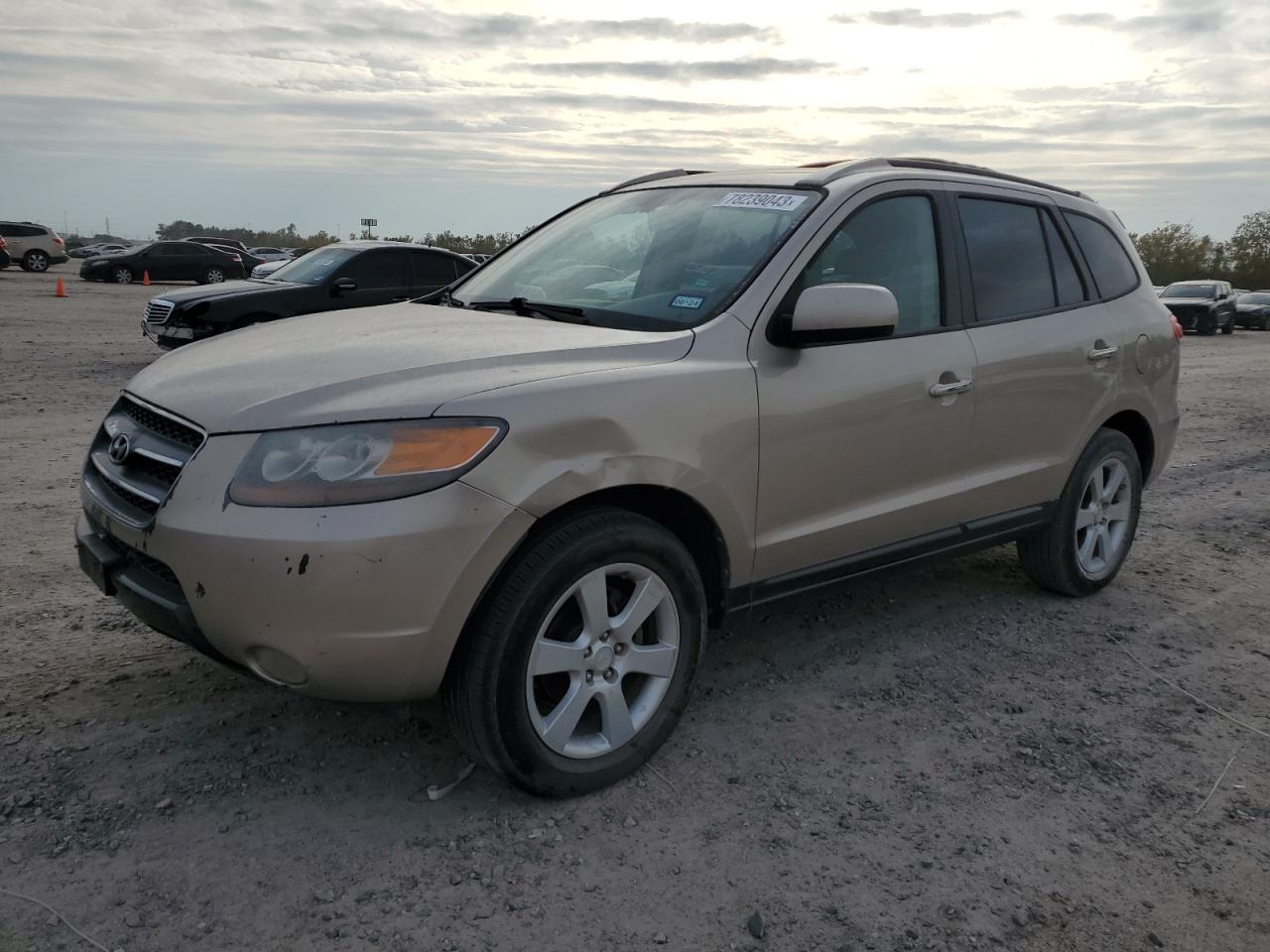 2007 HYUNDAI SANTA FE SE 2007 image