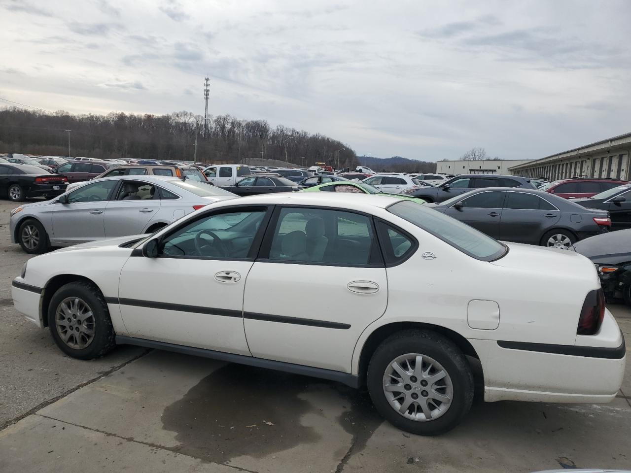 Obraz 2 z 2005 CHEVROLET IMPALA  2005 z VIN 2G1WF52E659356246