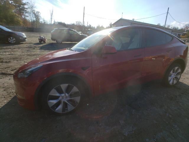 2022 TESLA MODEL Y  2022 image