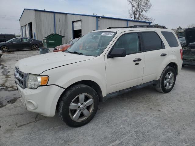 Image 1 of 2011 FORD ESCAPE XLT 2011 with VIN 1FMCU0DG0BKC10156