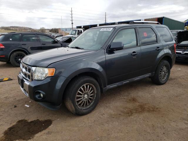 Obraz 2009 FORD ESCAPE LIMITED 2009