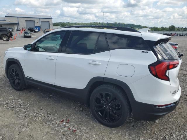 Obraz 2 z 2019 GMC TERRAIN SLT 2019 z VIN 3GKALPEV3KL270682