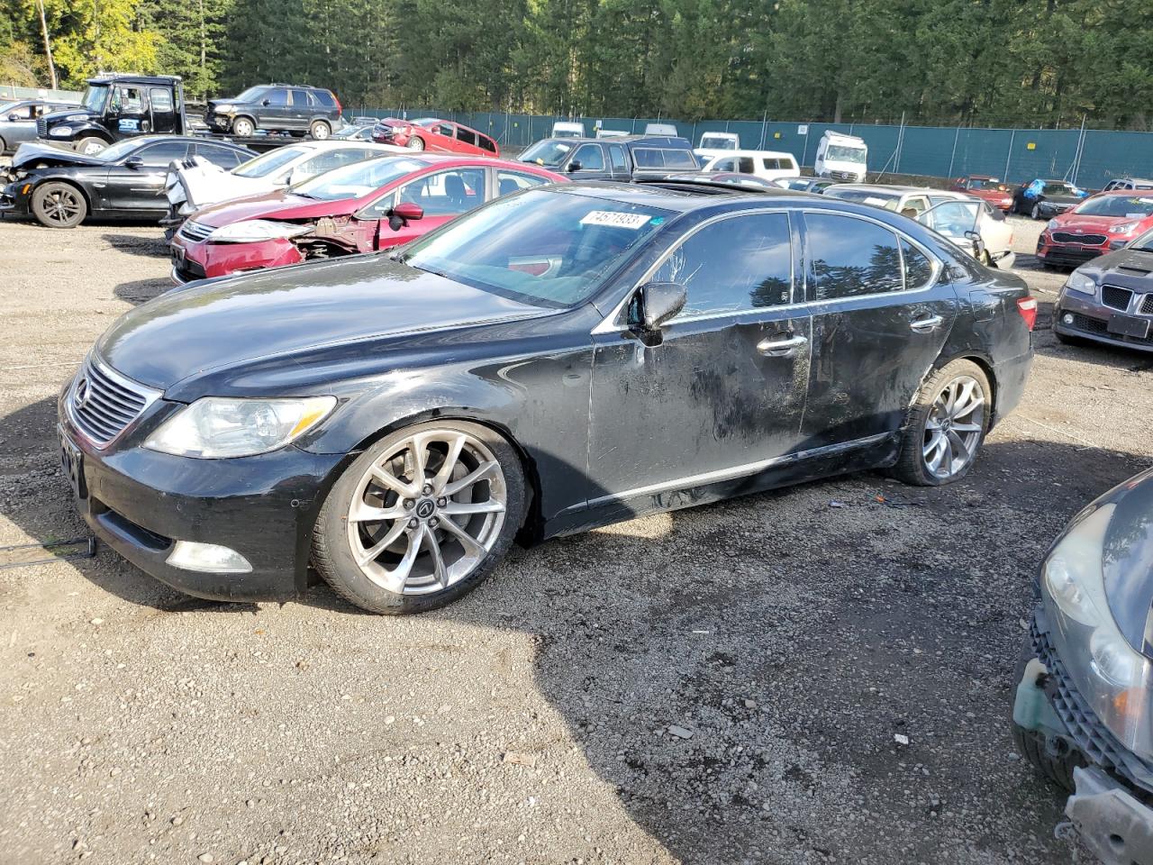 2009 LEXUS LS 460 2009 image