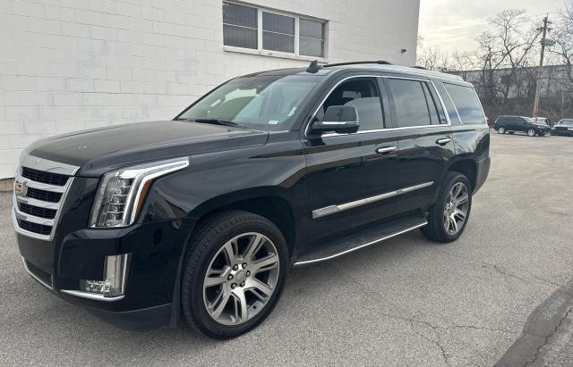 Изображение 2 2016 CADILLAC ESCALADE LUXURY 2016 с VIN 1GYS4BKJ1GR185786