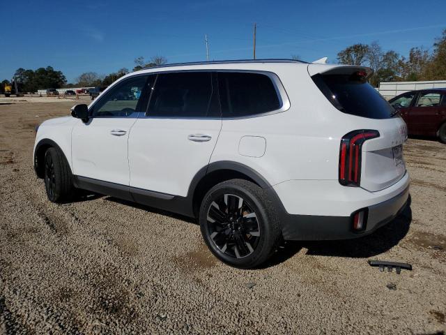 Obraz 2 z 2023 KIA TELLURIDE SX 2023 z VIN 5XYP5DGC7PG361902