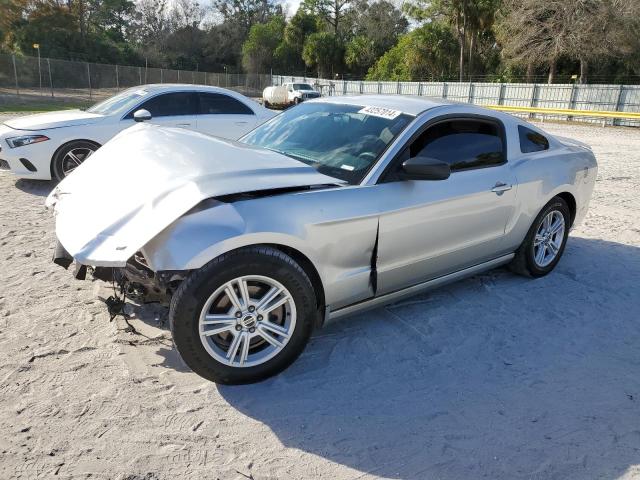 2013 FORD MUSTANG  2013 image