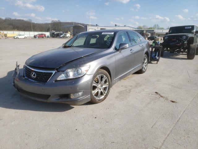 2012 LEXUS LS 460 2012 image