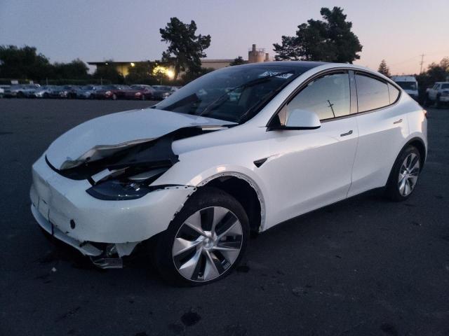 2023 TESLA MODEL Y  2023 image
