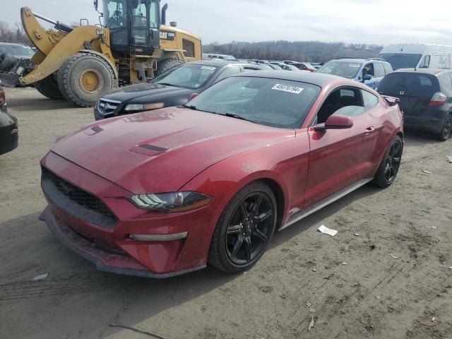 2019 FORD MUSTANG  2019 image