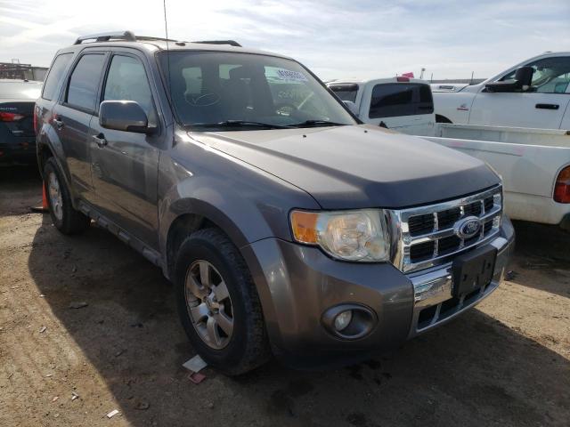 2010 FORD ESCAPE LIMITED 2010 image