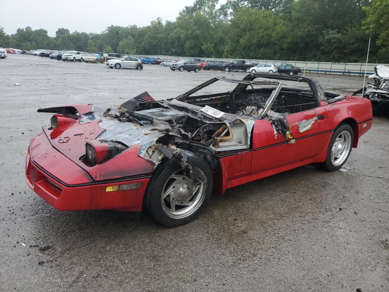 Obraz 1984 CHEVROLET CORVETTE  1984