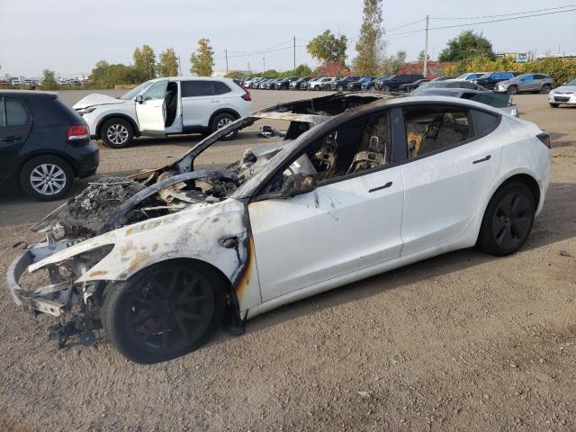 2023 TESLA MODEL 3  2023 image
