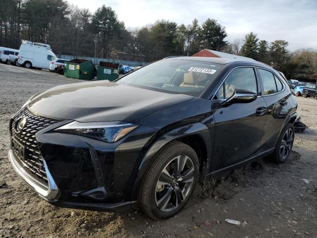 Obraz 2024 LEXUS UX 250H PREMIUM 2024