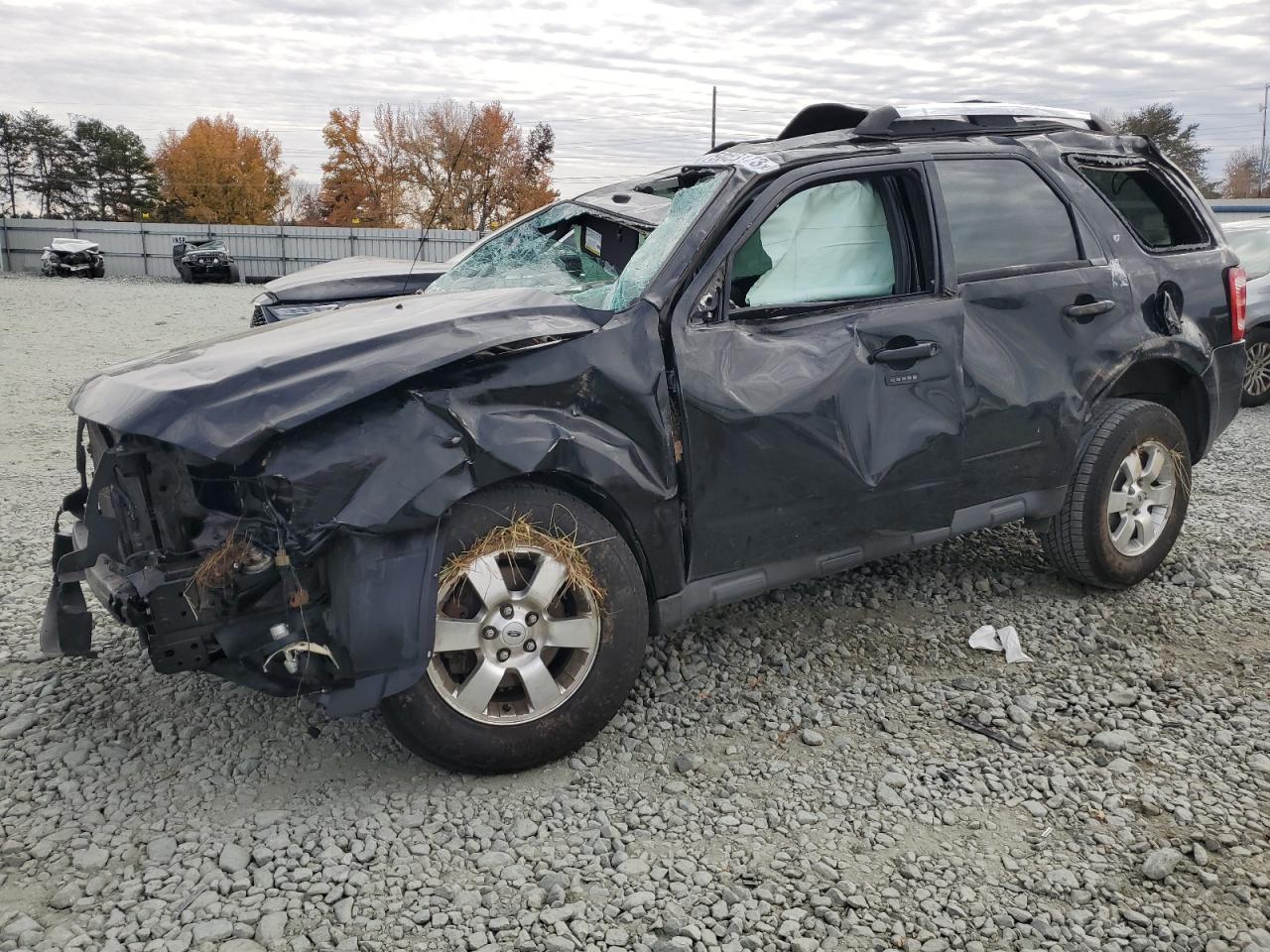 Obraz 2011 FORD ESCAPE LIMITED 2011