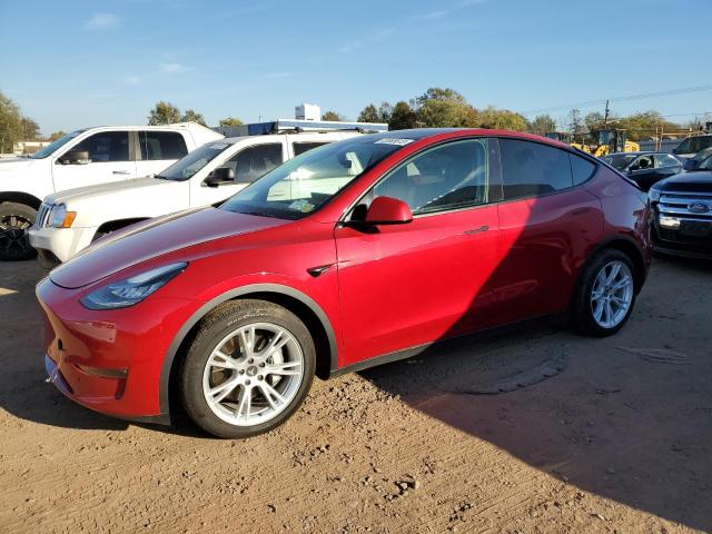 2021 TESLA MODEL Y  2021 image