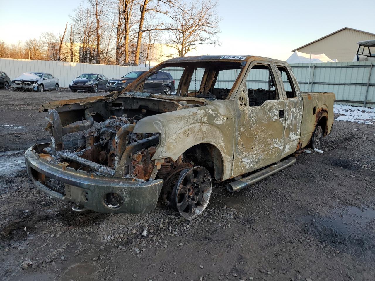 Image 1 of 2010 FORD F150 SUPER CAB 2010 with VIN 1FTFX1EV4AFB28675