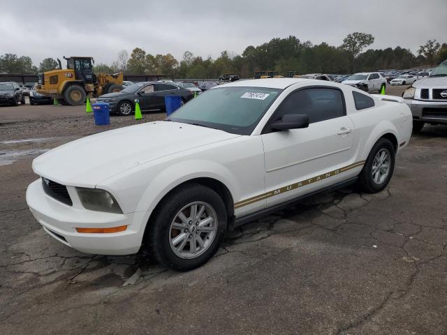 2005 FORD MUSTANG  2005 image