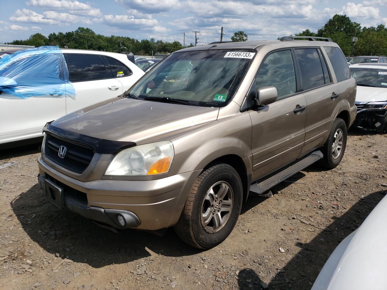 2005 HONDA PILOT EXL 2005 image