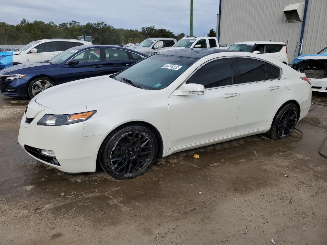 Obraz 2009 ACURA TL  2009