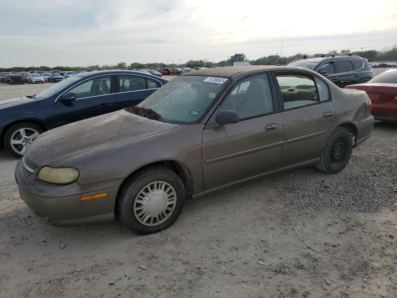 2009 CHEVROLET MALIBU  2009 image