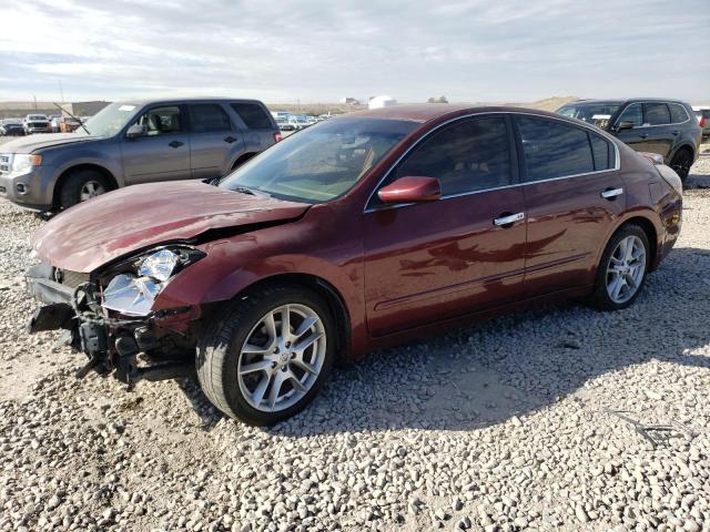 2010 NISSAN ALTIMA BASE 2010 image
