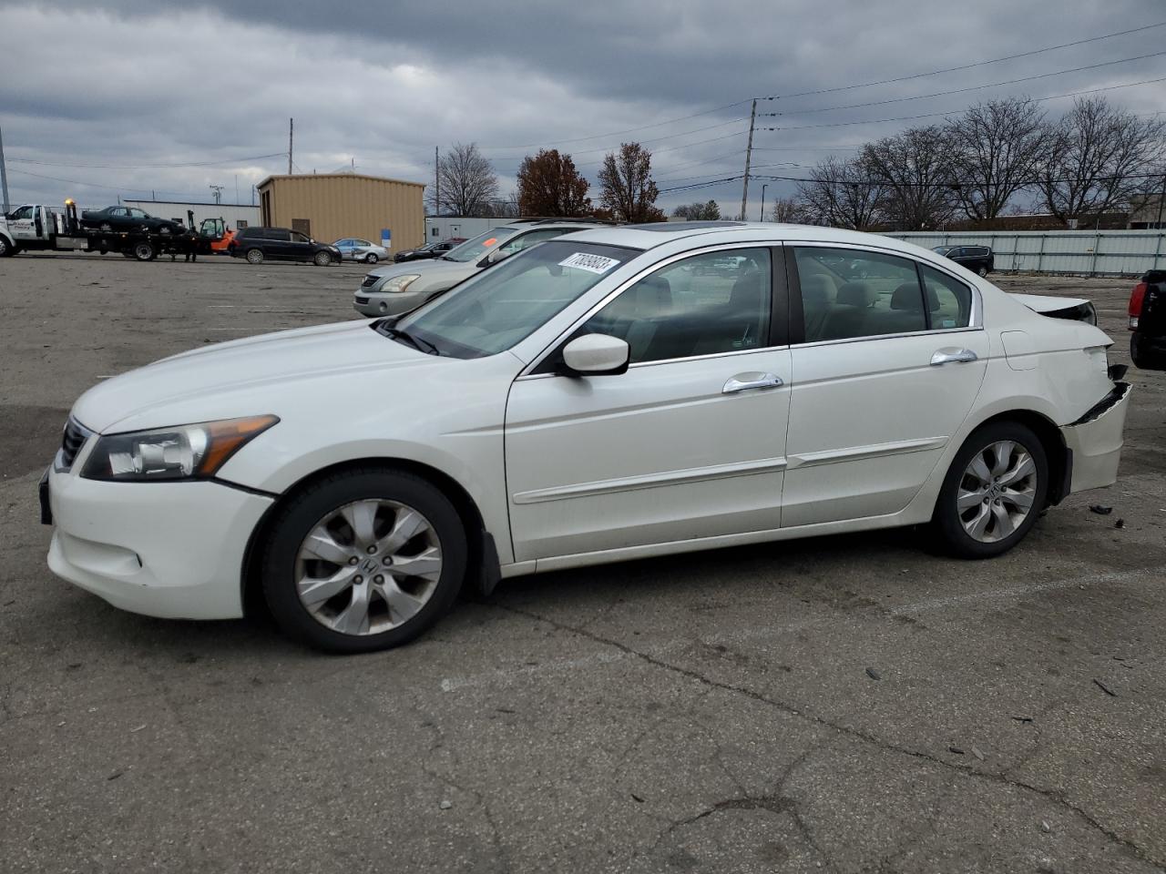 2008 HONDA ACCORD EXL 2008 image