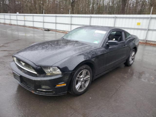 2013 FORD MUSTANG  2013 image