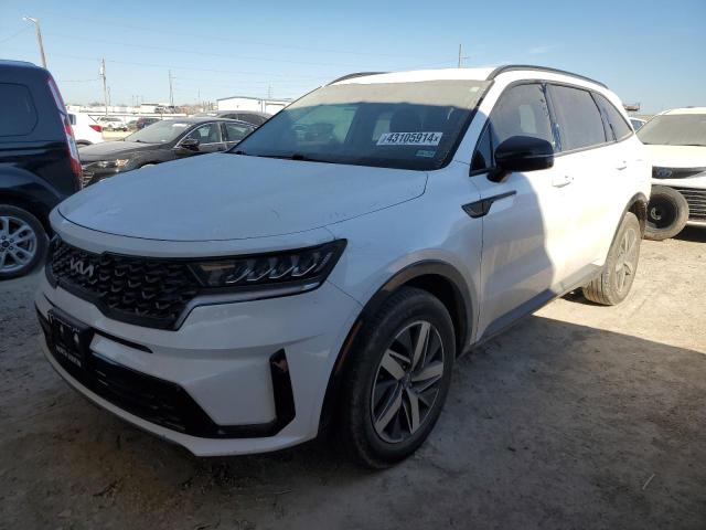 Obraz 2022 KIA SORENTO S 2022