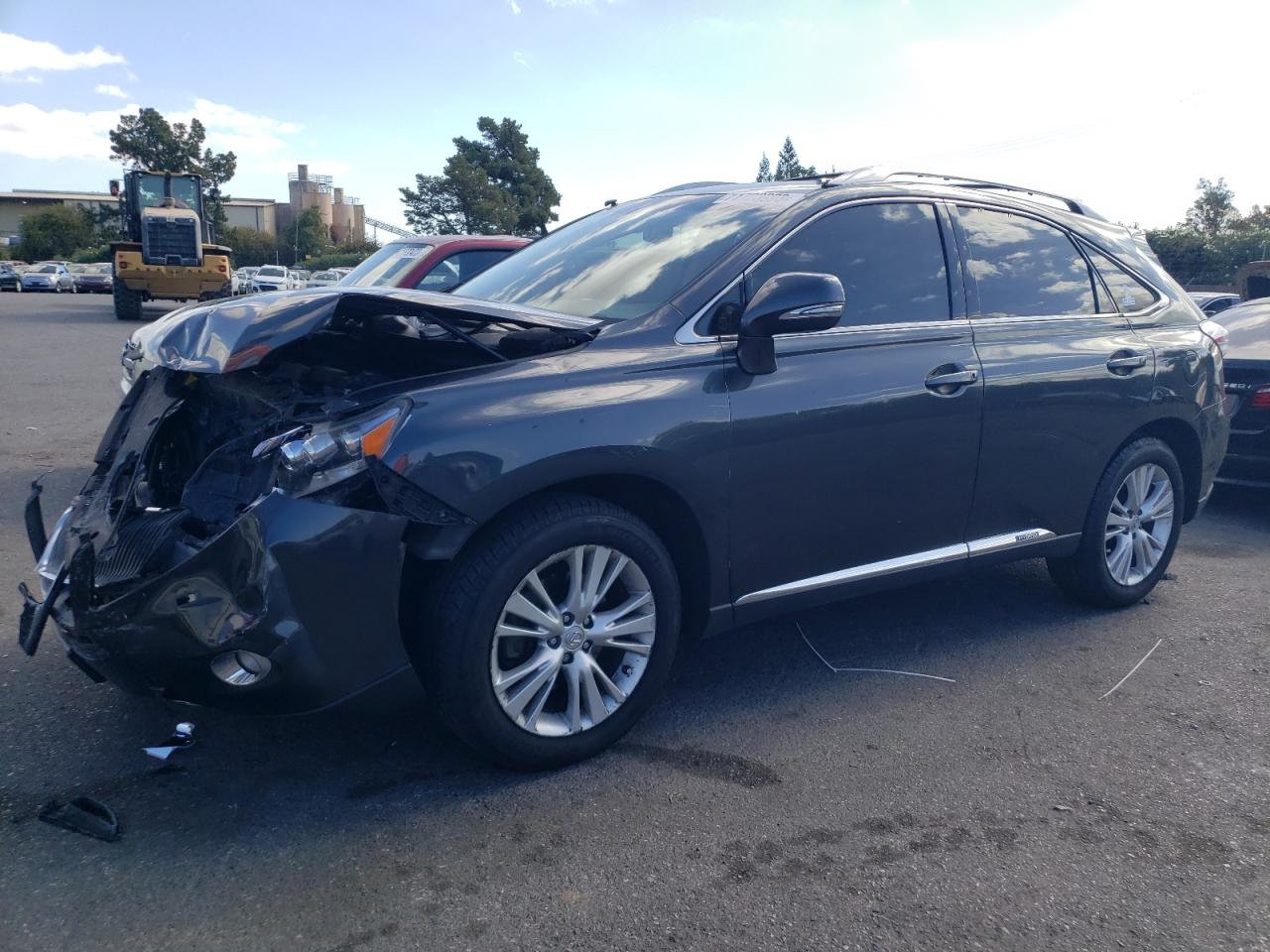2010 LEXUS RX 450 2010 image